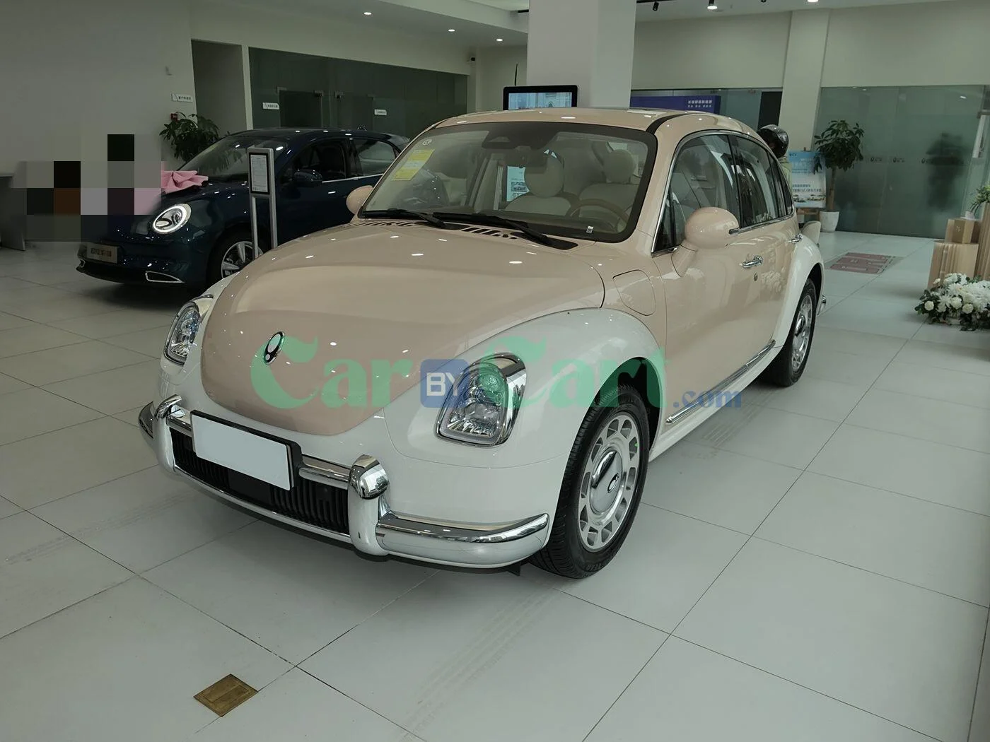 ORA ORA Ballet Cat 2025