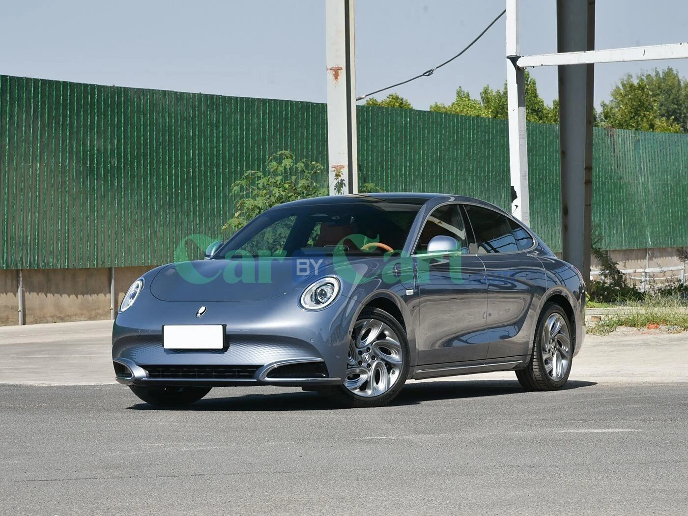 ORA ORA Lightning Cat 2025