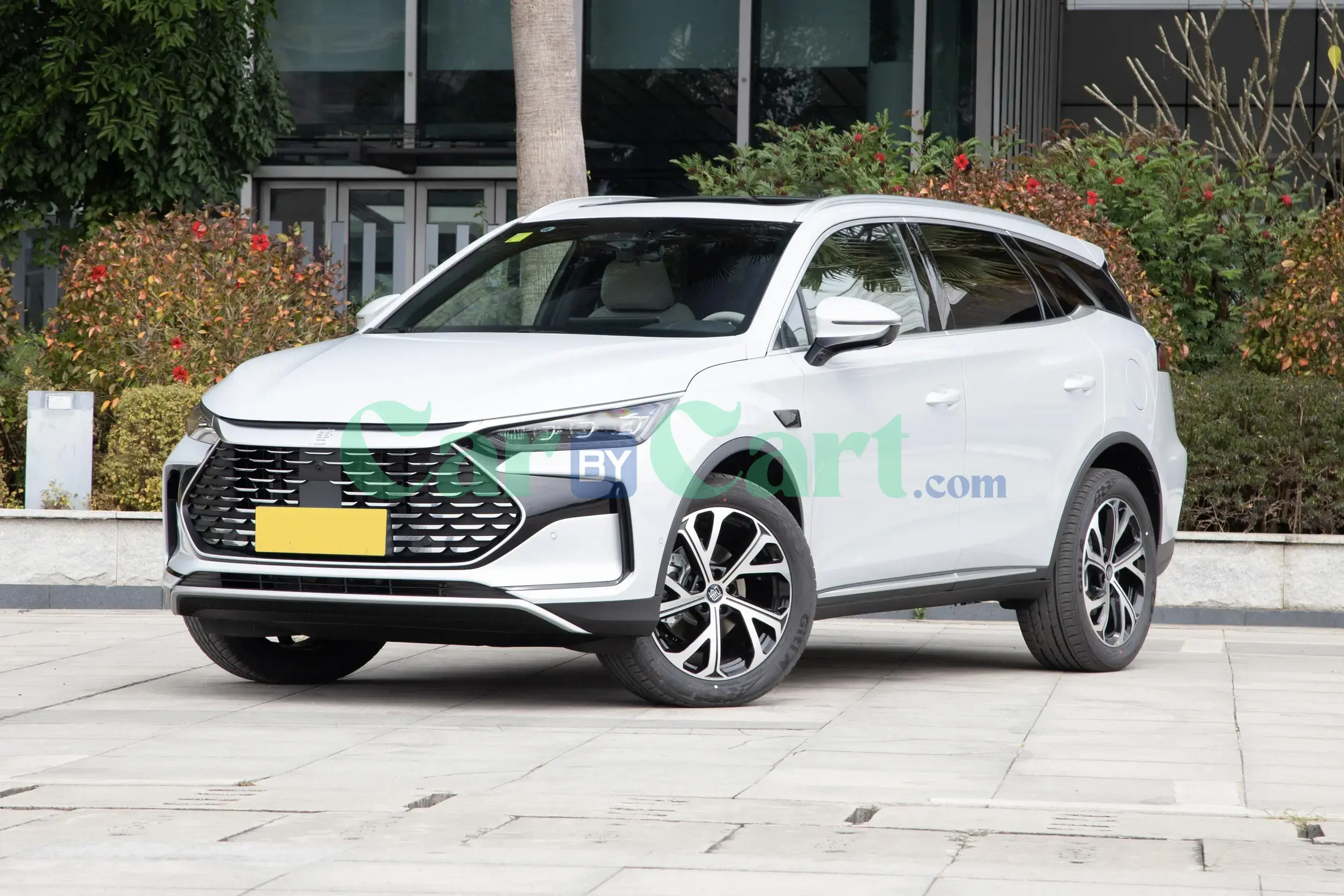 BYD Tang DM-i Smart 2025