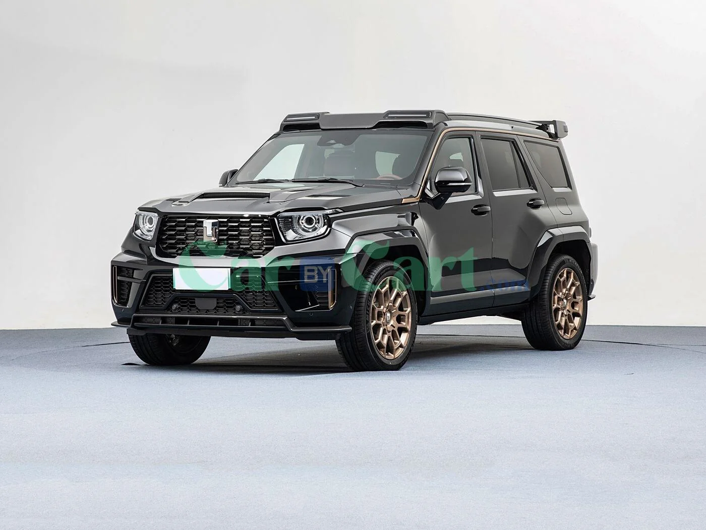 TANK TANK 700 NEW energy 2025