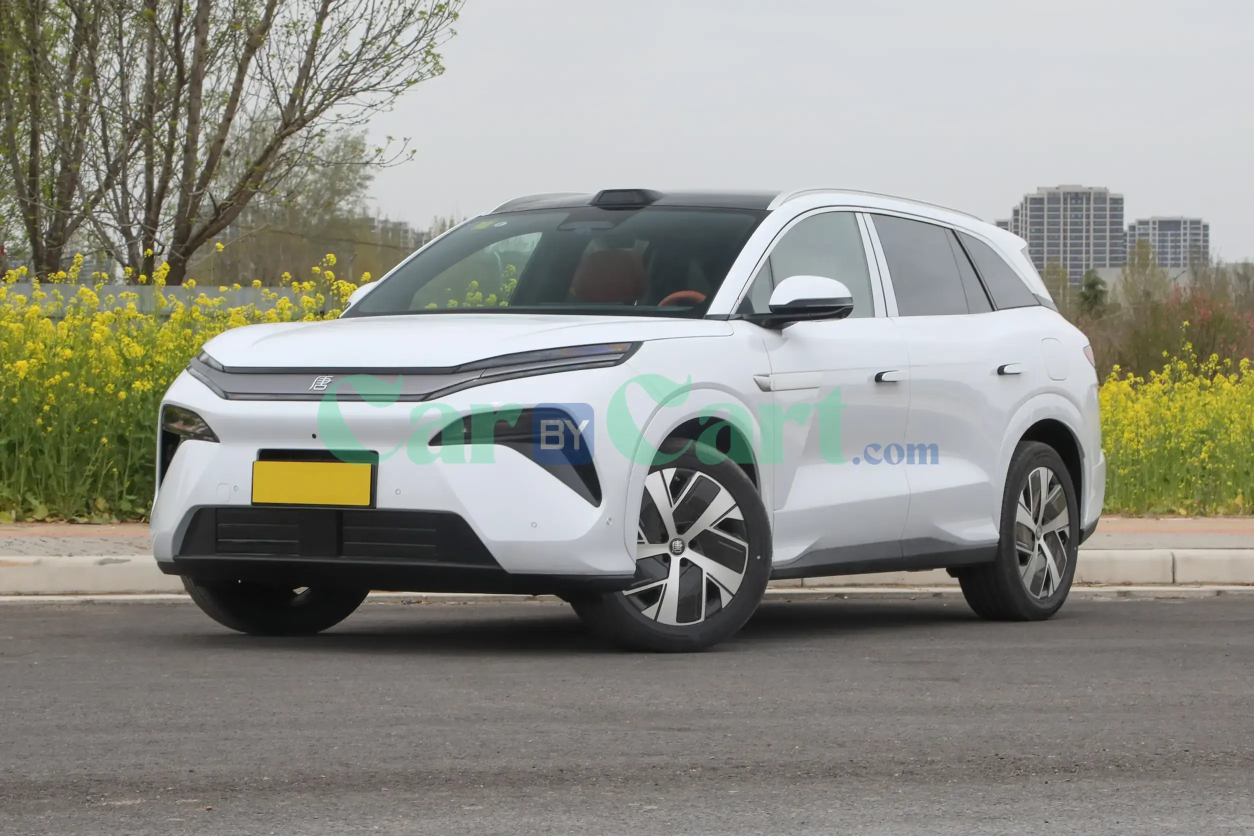 بى واى دى أرضية L DM 2025