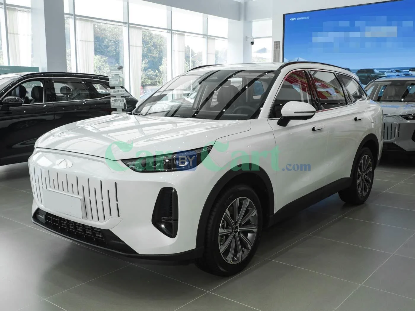 Chery Fengyun T9 2025