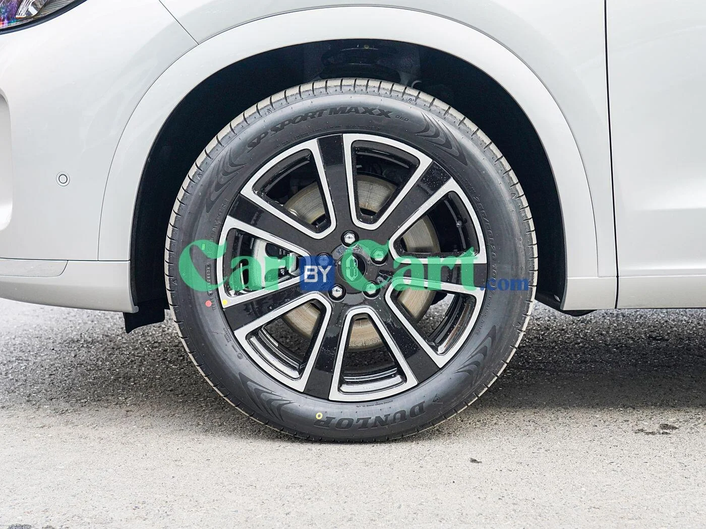 Double Seven Radiant Star Glitter 20inch