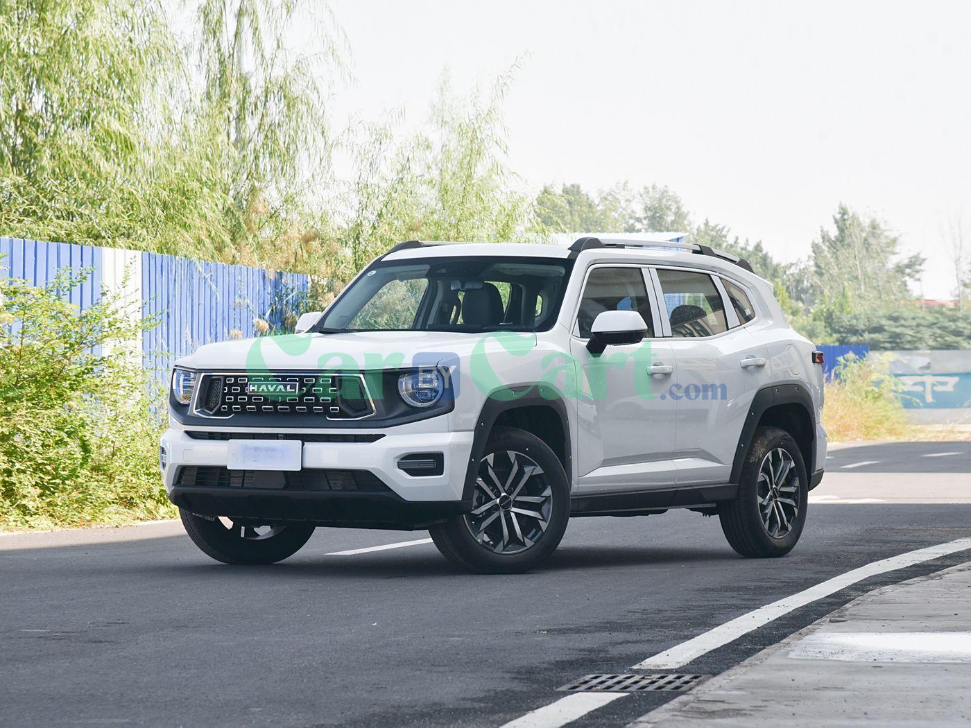 HAVAL Second generation big dog 2025