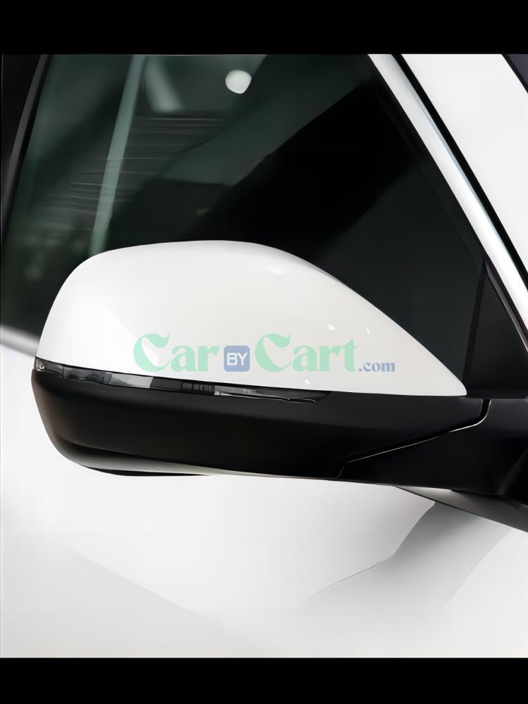 Haval H4 rearview mirror