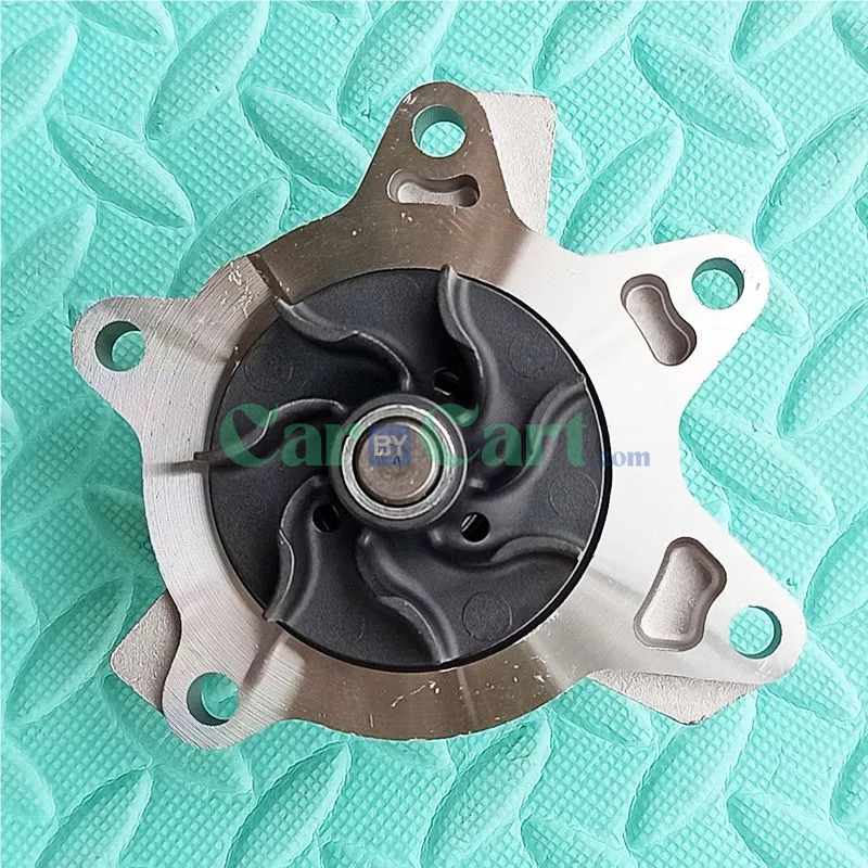 Star Yue S water pump assembly