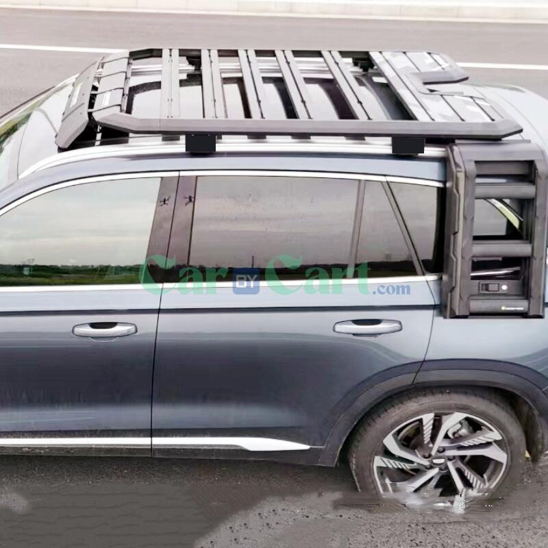 StaryueL roof rack+climb ladder