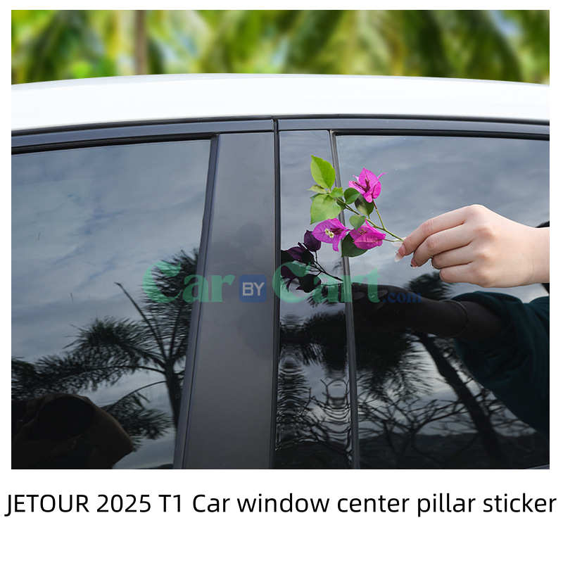 2025 T1 Car window center pillar sticker