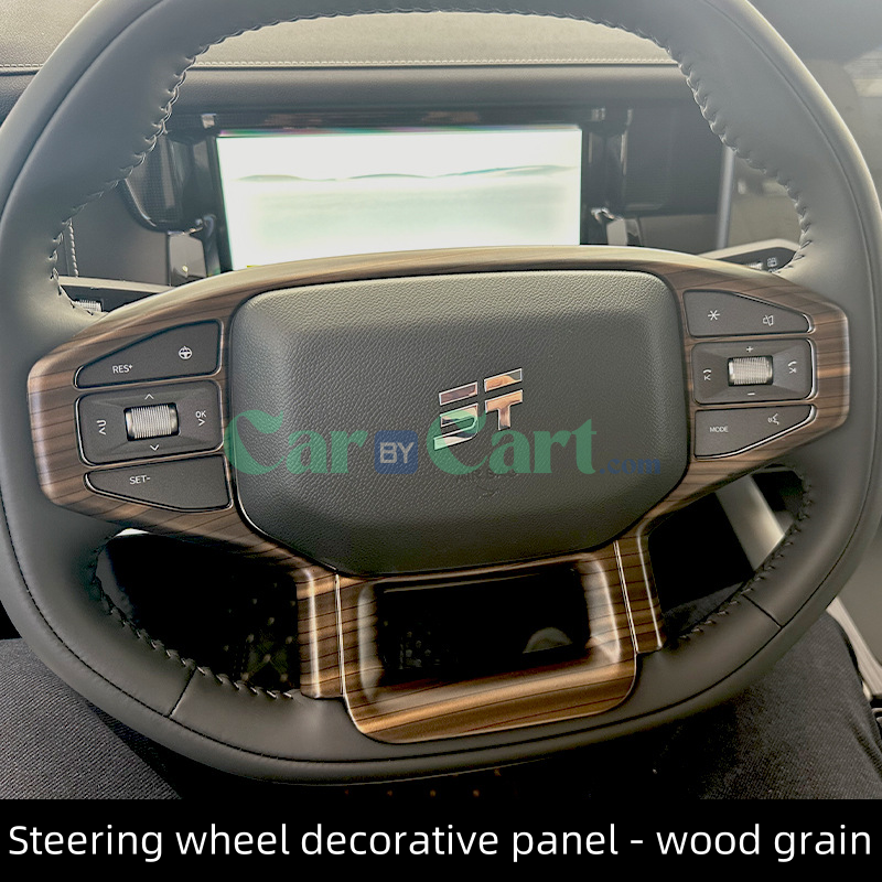 2025 T1 Steering wheel decorative panel