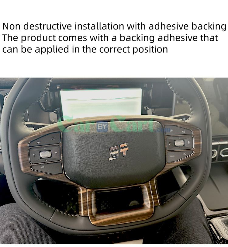 2025 T1 Steering wheel decorative panel