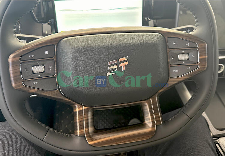 2025 T1 Steering wheel decorative panel