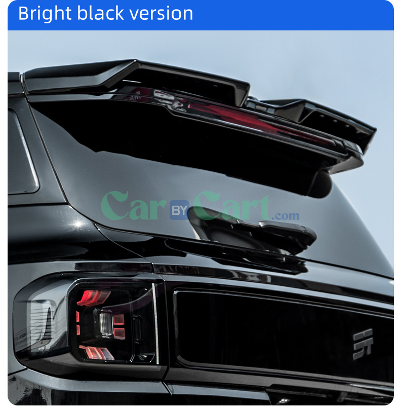 2025 T1 Sports tail wing