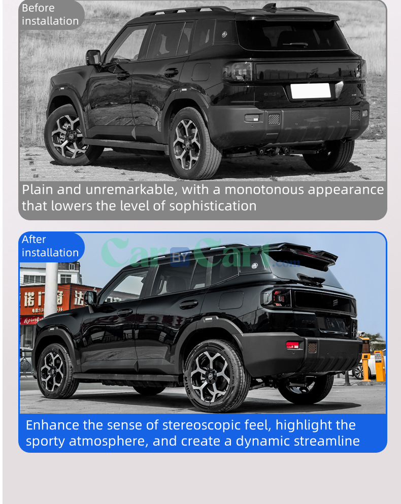 2025 T1 Sports tail wing