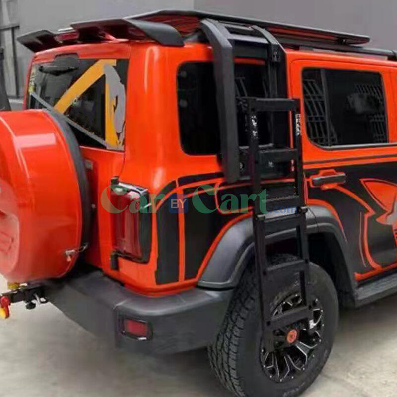 2024 TANK300 Folding ladder