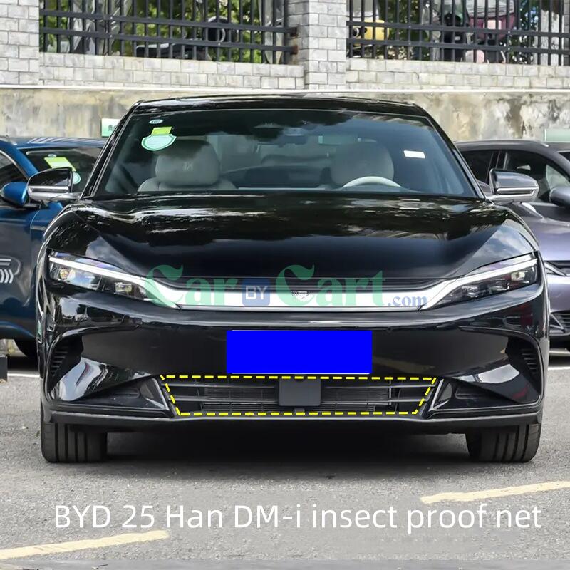 2025 BYD Han DM-i Zhongwang insect proof net