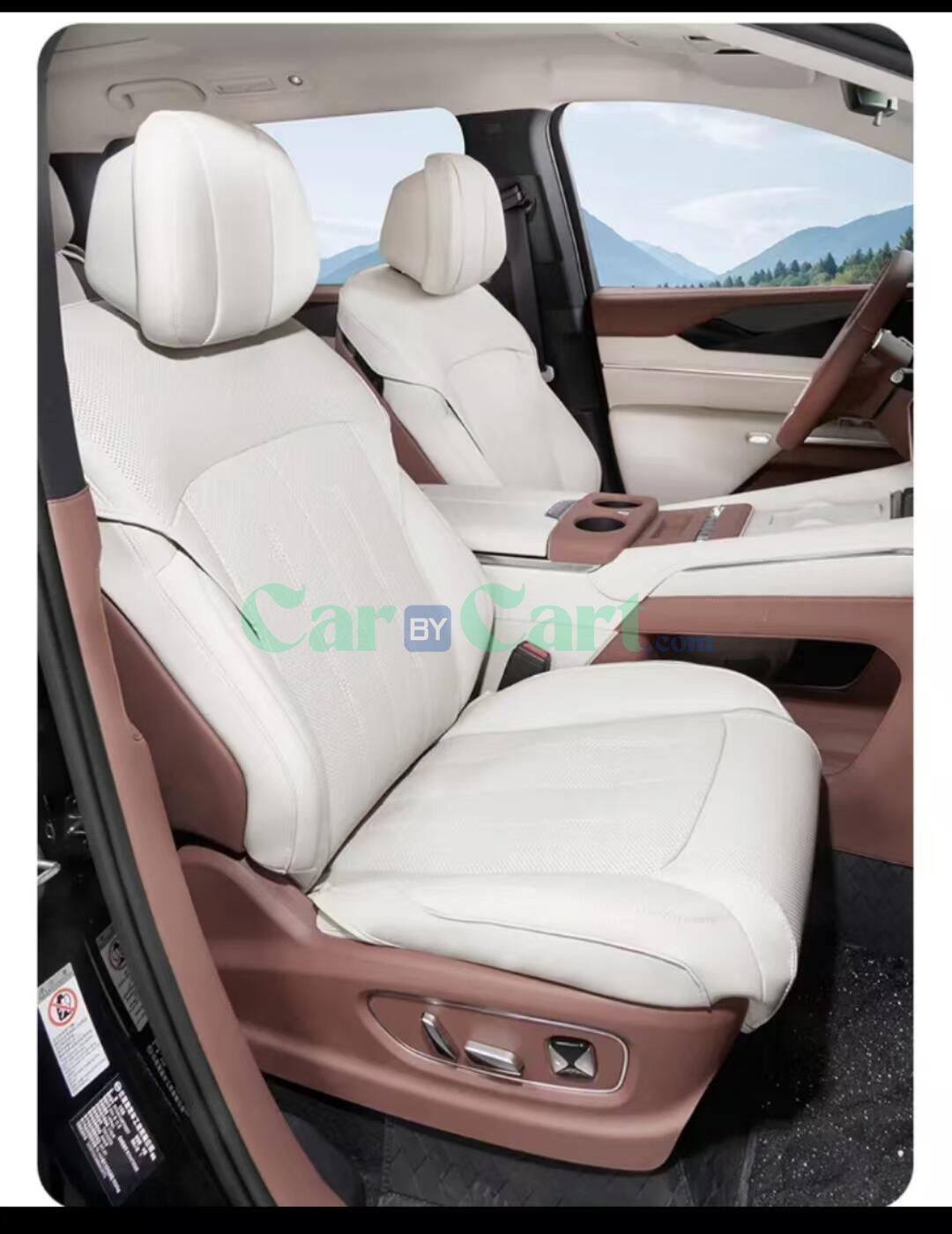 2025 BYD Xia Driver and passenger seat+middle row seat cushion