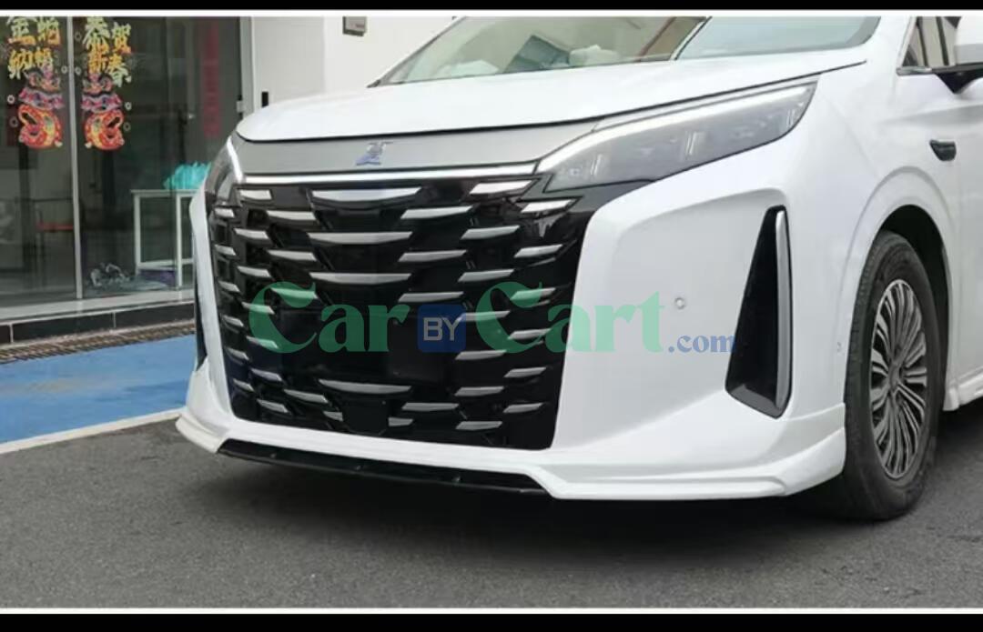 2025 BYD Xia Quick release insect proof mesh with snap fasteners