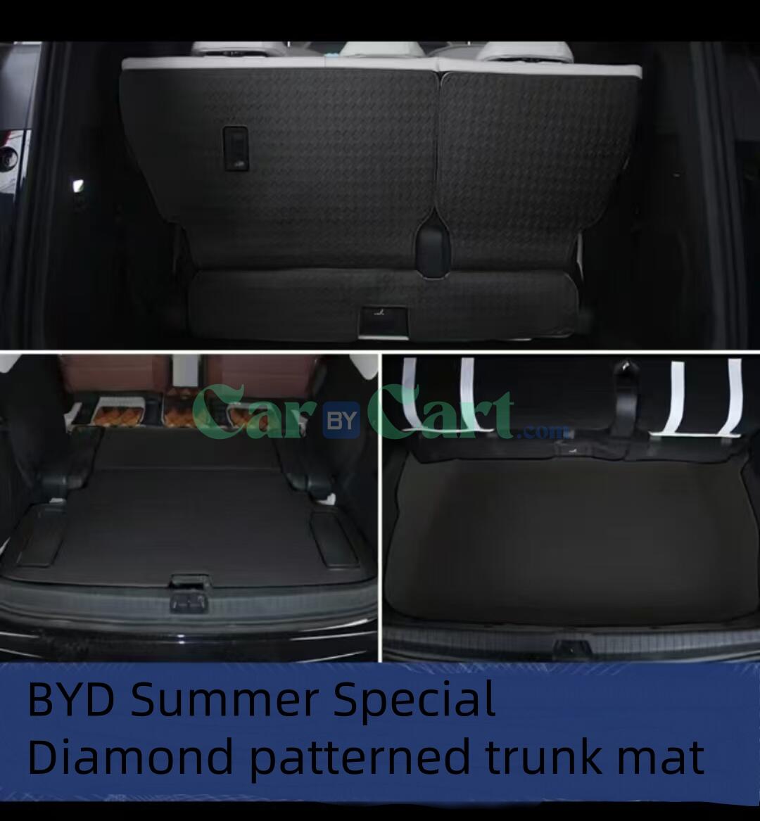 2025 BYD Xia Leather trunk cushion