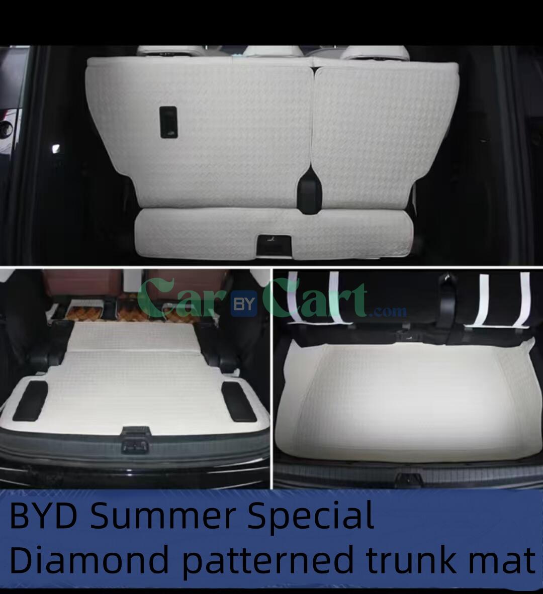 2025 BYD Xia Leather trunk cushion