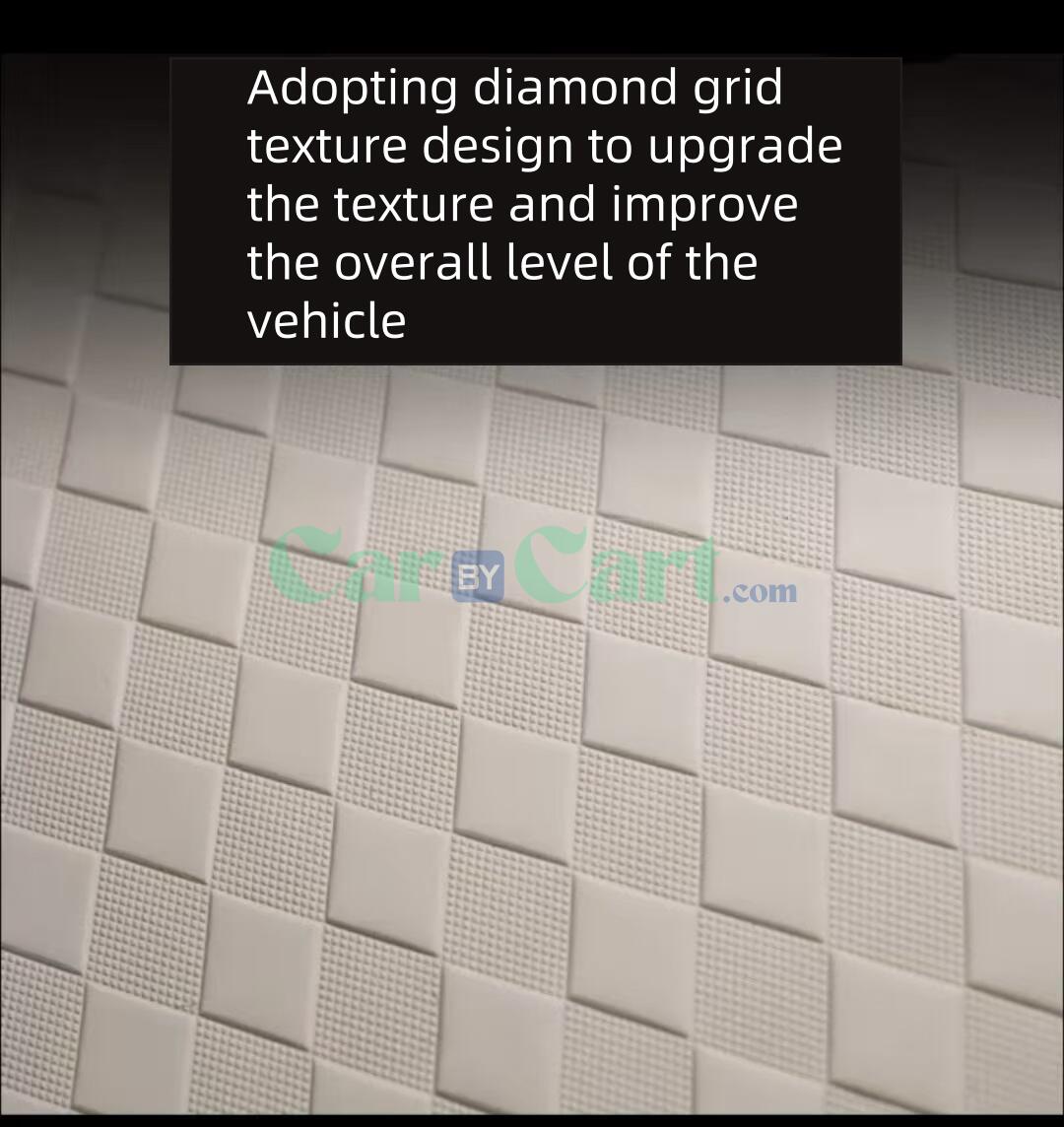 2025 BYD Xia Leather trunk cushion