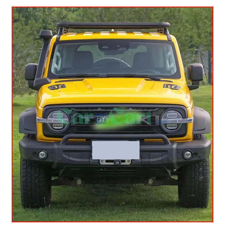 25 Tank 300 Border Edition grille