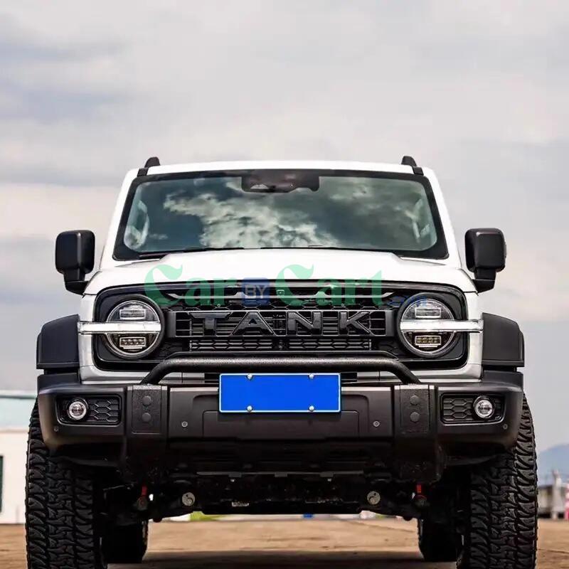 25 Tank 300 Border Edition grille