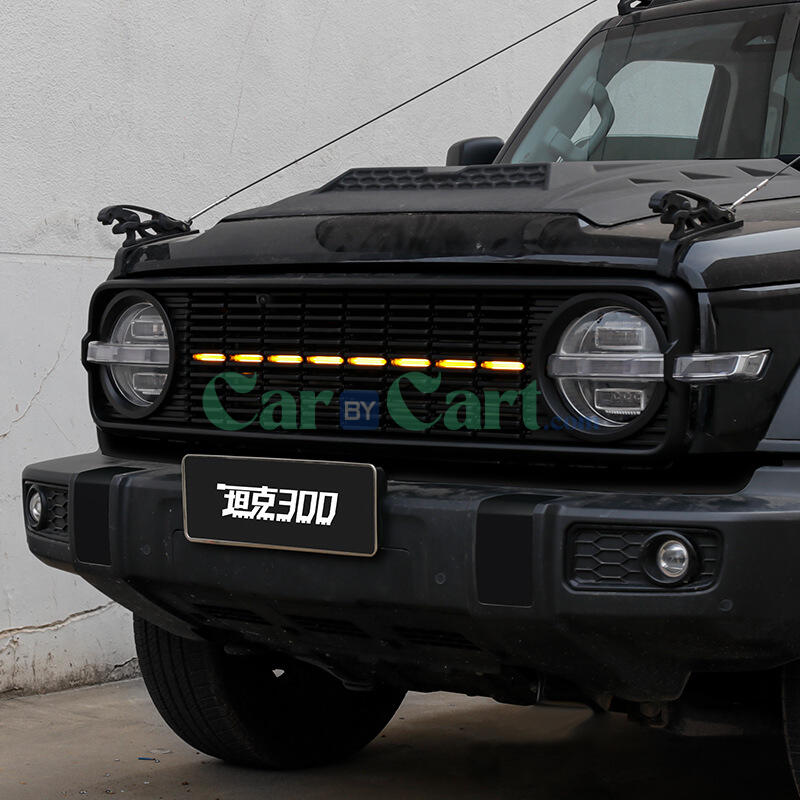 2025 تانك 300 شبك داكن مع ضوء