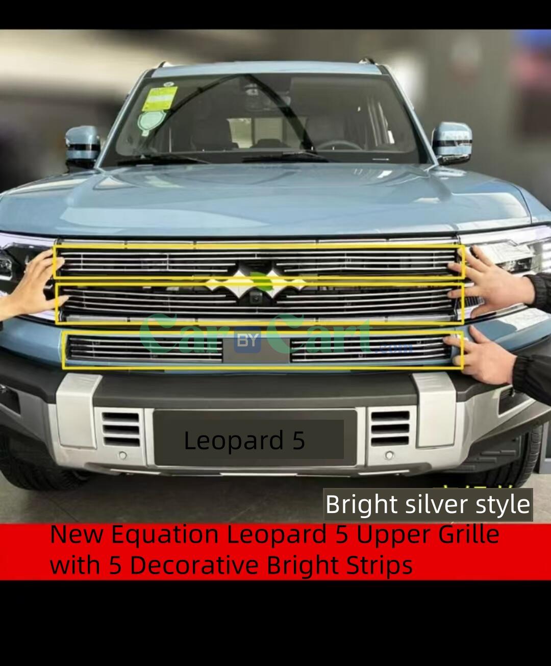2025 صيغة ليوبارد ليوبارد 5 شريط زخرفي شبكي فضي لامع