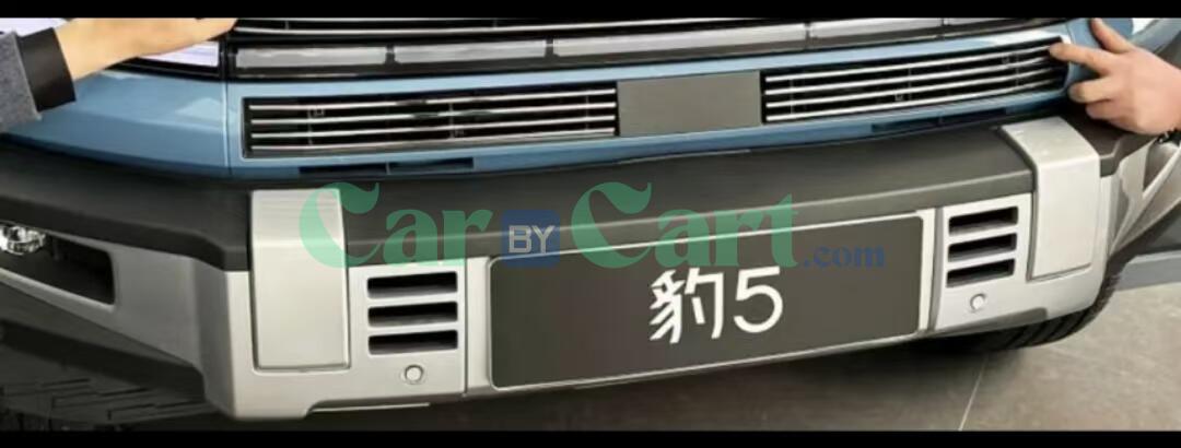 2025 صيغة ليوبارد ليوبارد 5 شريط زخرفي شبكي فضي لامع