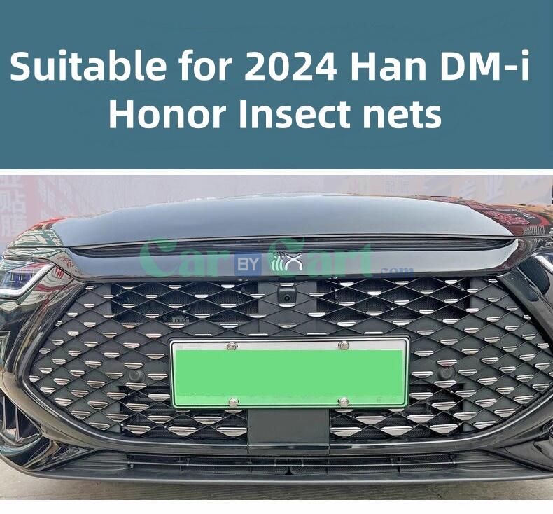 2024 Han DM-i Honor Insect nets