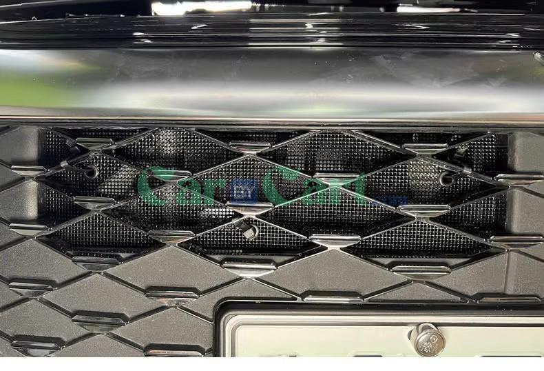 2024 Han DM-i Honor Insect nets