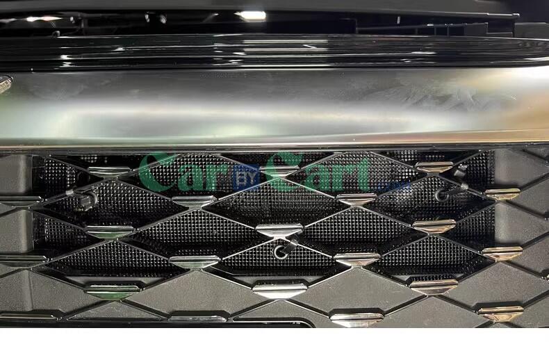 2024 Han DM-i Honor Insect nets