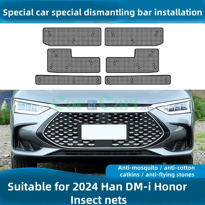 2024 Han DM-i Honor Insect nets