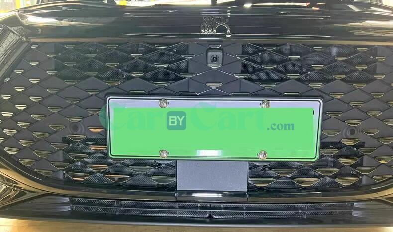 2024 Han DM-i Honor Insect nets