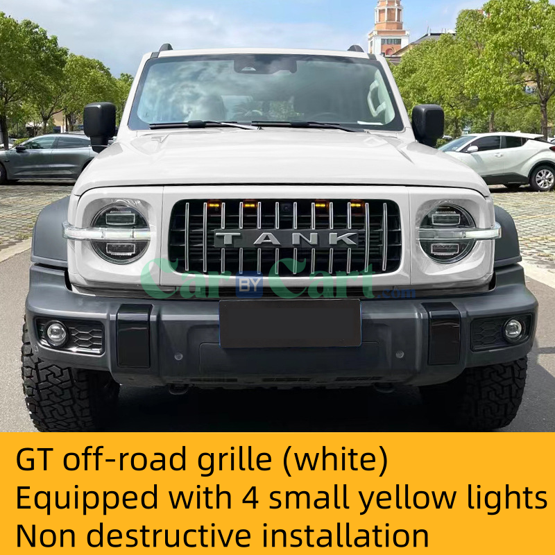 25 Tank 300 GT style grille