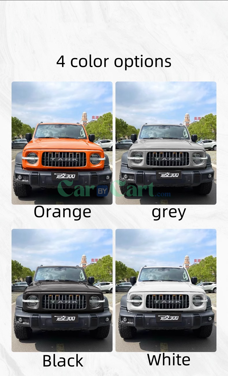 25 Tank 300 GT style grille