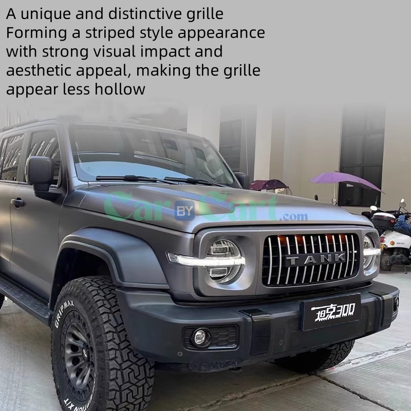 25 Tank 300 GT style grille