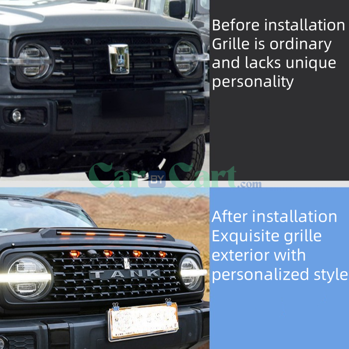 2025 TANK 300 Defender car grille