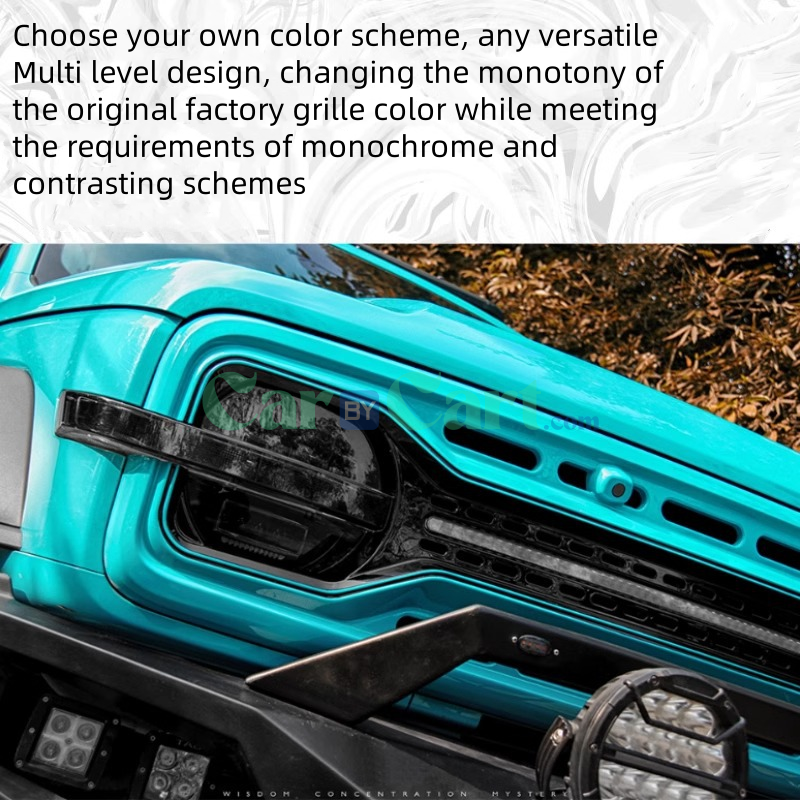 2025 TANK 300 Flowing light grille