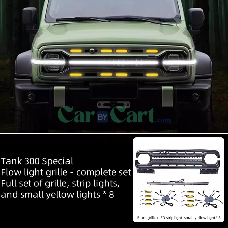 2025 TANK 300 Flowing light grille