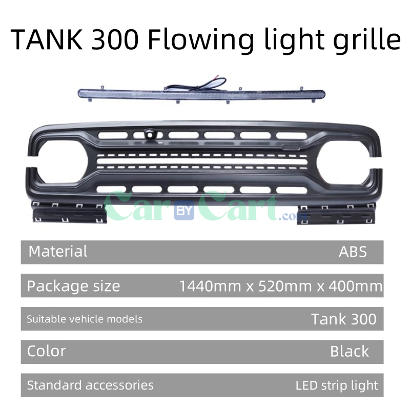 2025 TANK 300 Flowing light grille