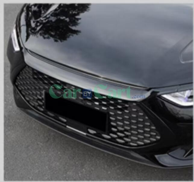 شريط زينة للوجه الأمامي لسيارة 2025 BYD Han EV