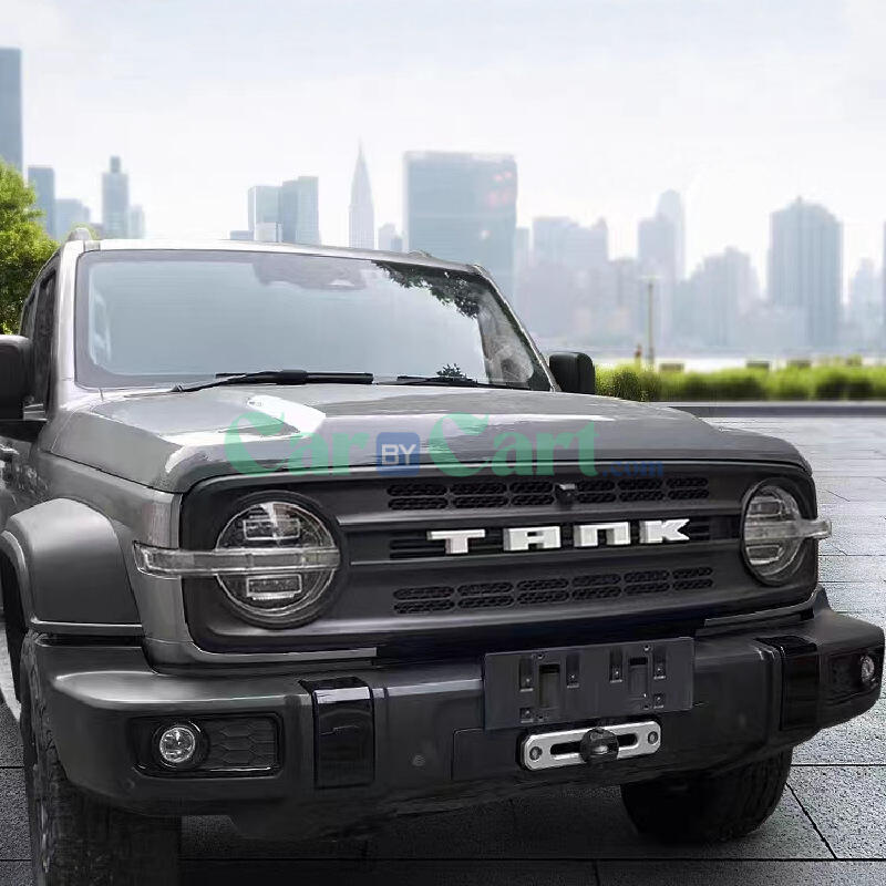 2024 TANK300 واجهة أمامية لشبكة God of War