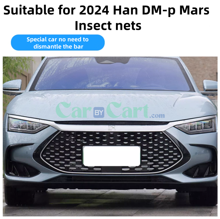 2024 Han DM-p Mars Insect nets