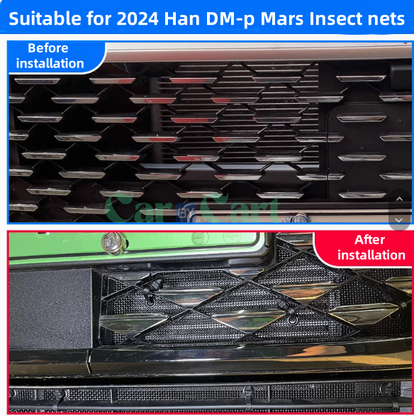 2024 Han DM-p Mars Insect nets