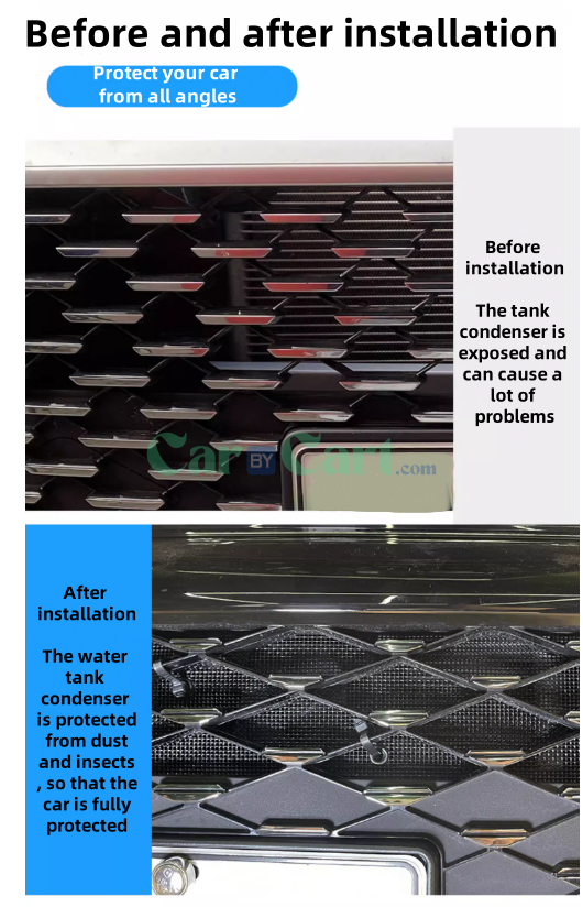 2024 Han DM-p Mars Insect nets