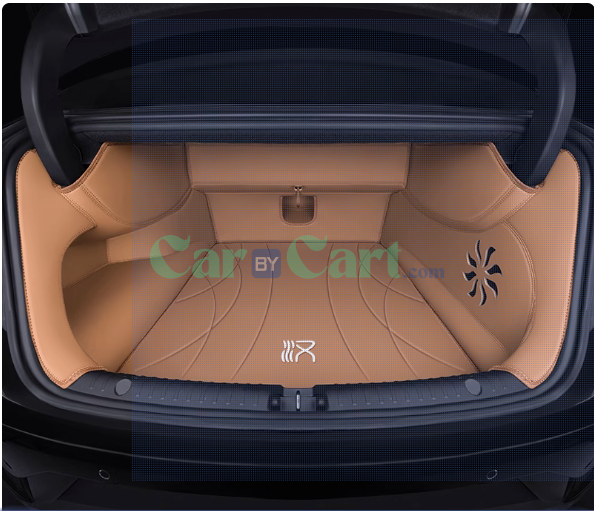 2024 Han DM-p Mars trunk mat