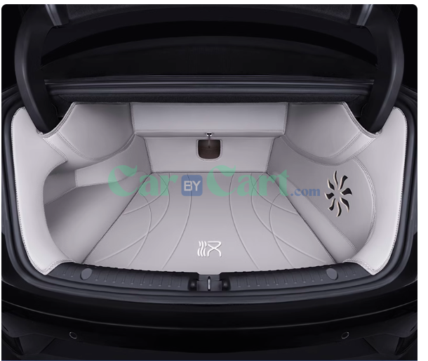 2024 Han DM-p Mars trunk mat