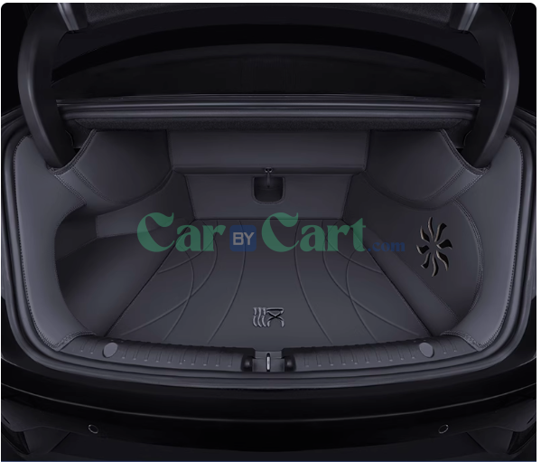 2024 Han DM-p Mars trunk mat