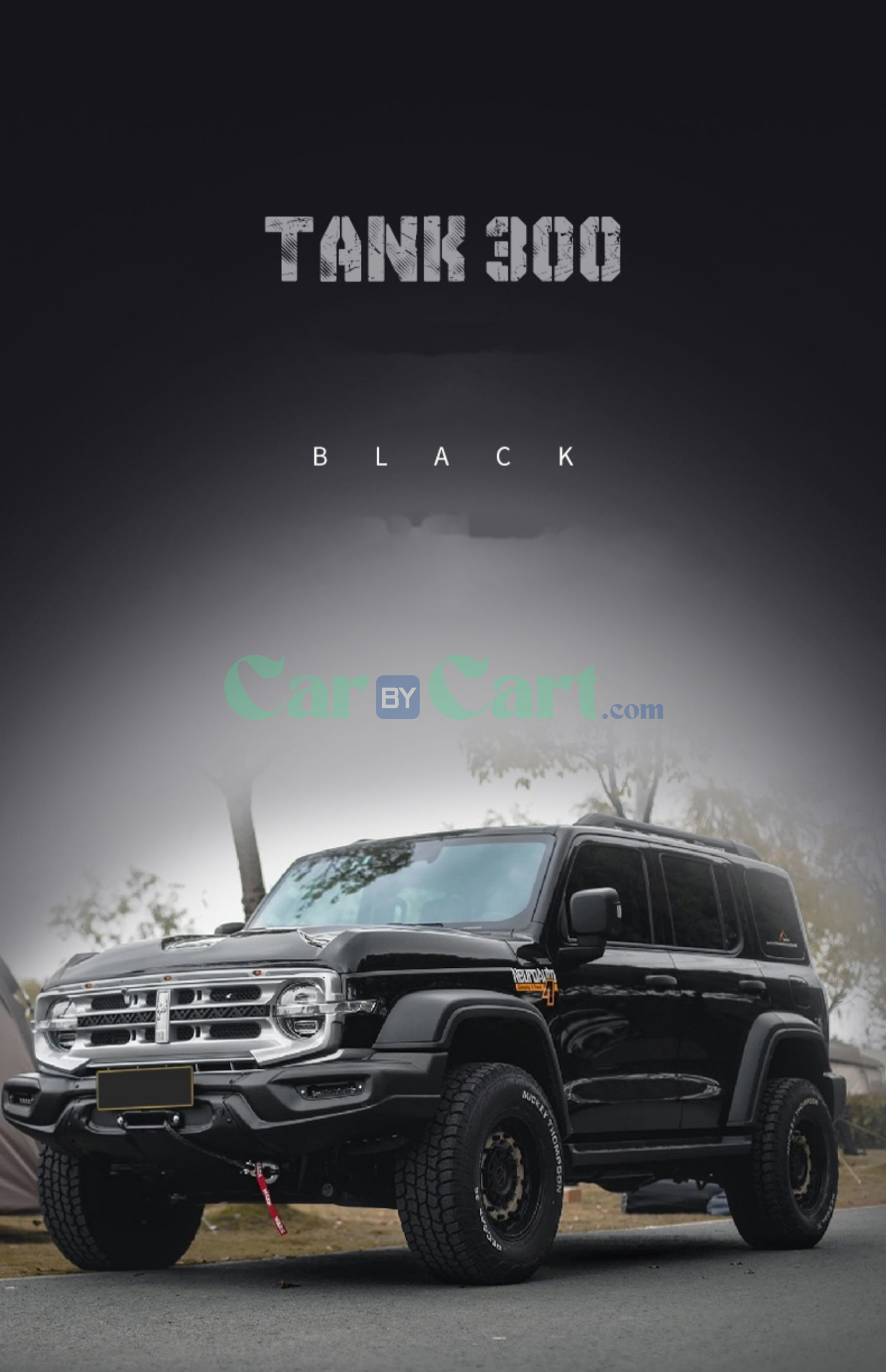 2025 TANK 300 Rosefinch version appearance kit